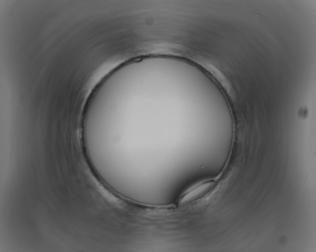 X0000091881285200710031734