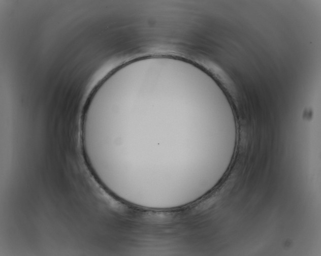 X0000091881286200710031734