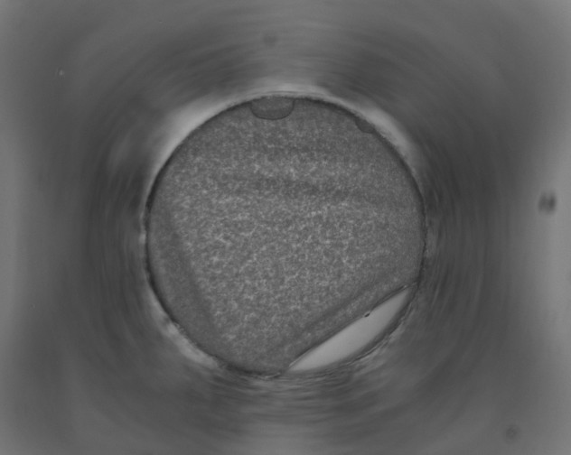 X0000091881287200710031734