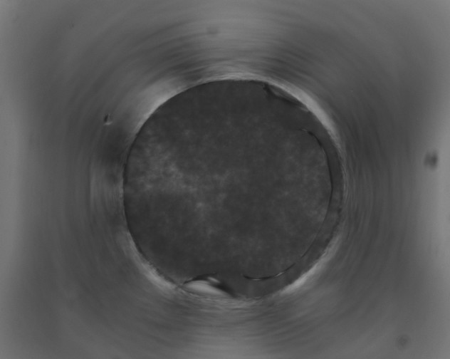 X0000091881289200710031734