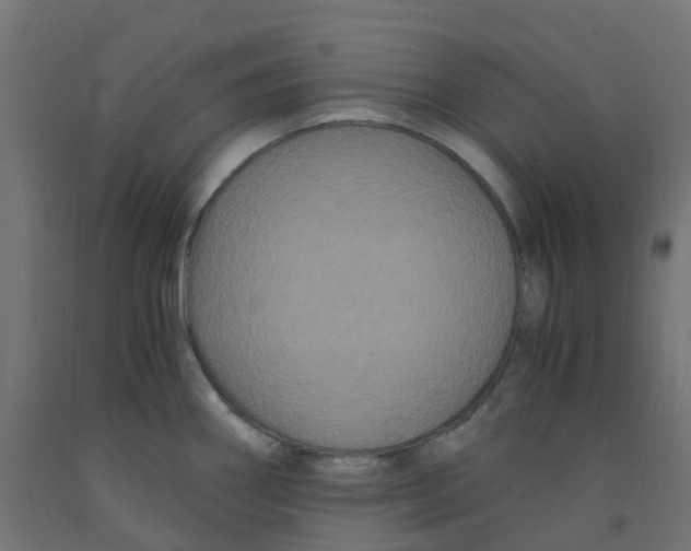 X0000091881290200710031734