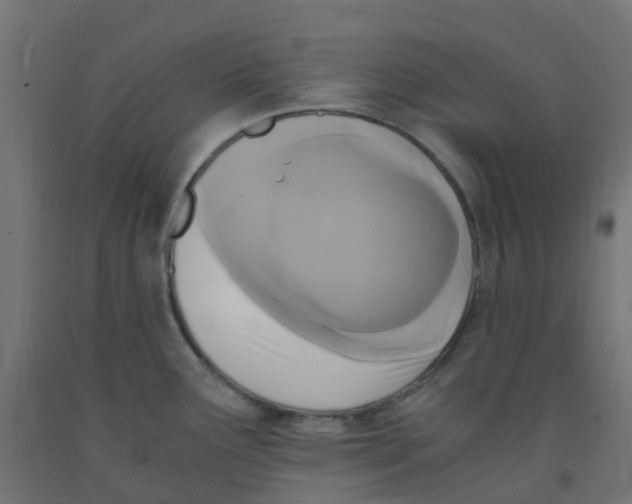 X0000091881291200710031734