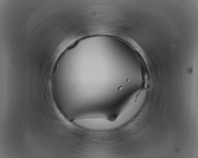 X0000091881293200710031734