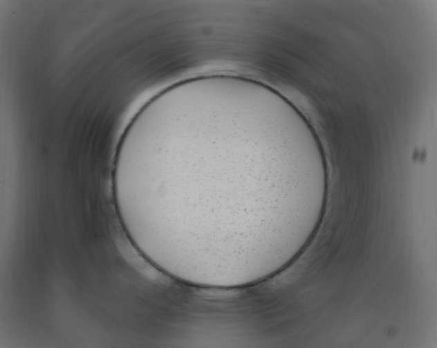 X0000091881296200710031734