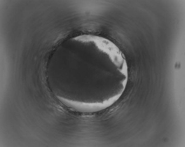 X0000091881297200710031733