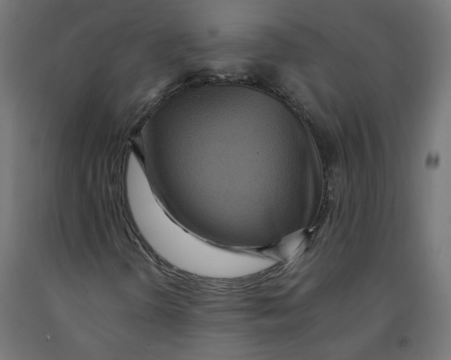 X0000091881298200710031733