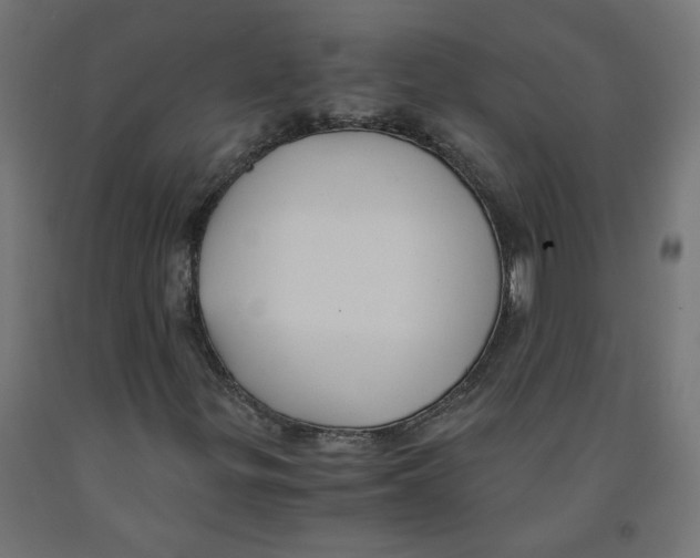 X0000091881299200710031733