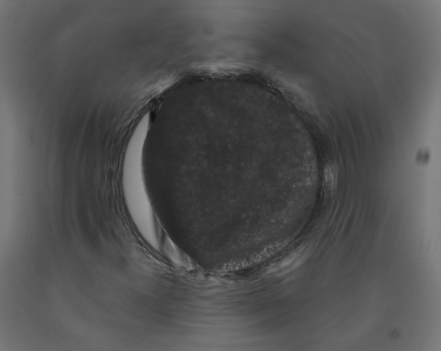 X0000091881300200710031733