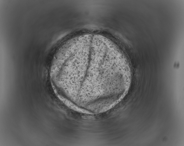 X0000091881302200710031733