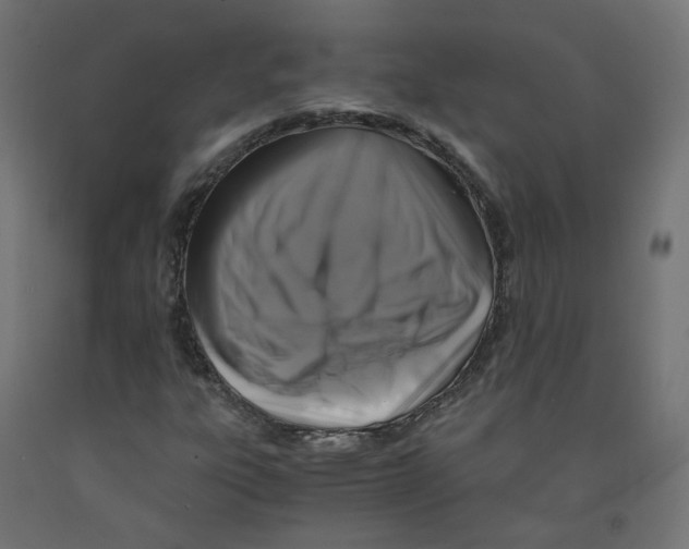 X0000091881303200710031733