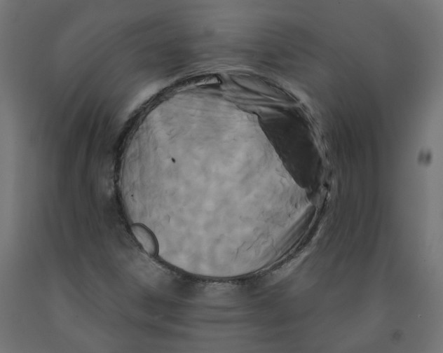 X0000091881306200710031733