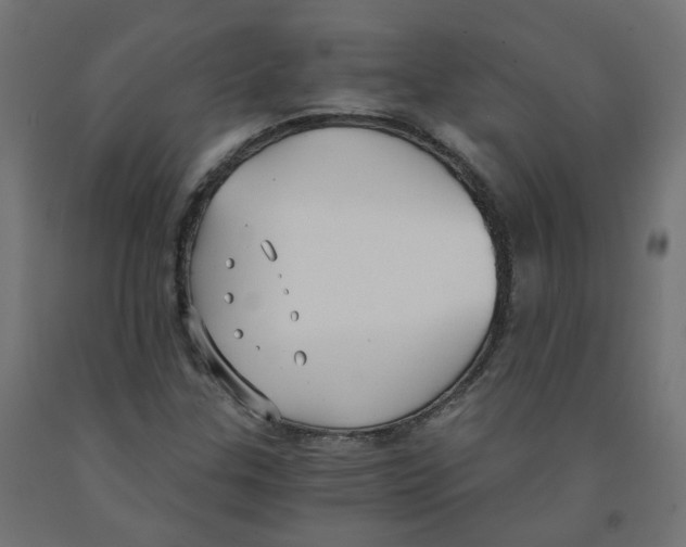 X0000091881307200710031733