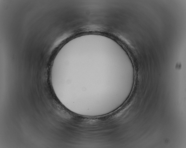 X0000091881309200710031733