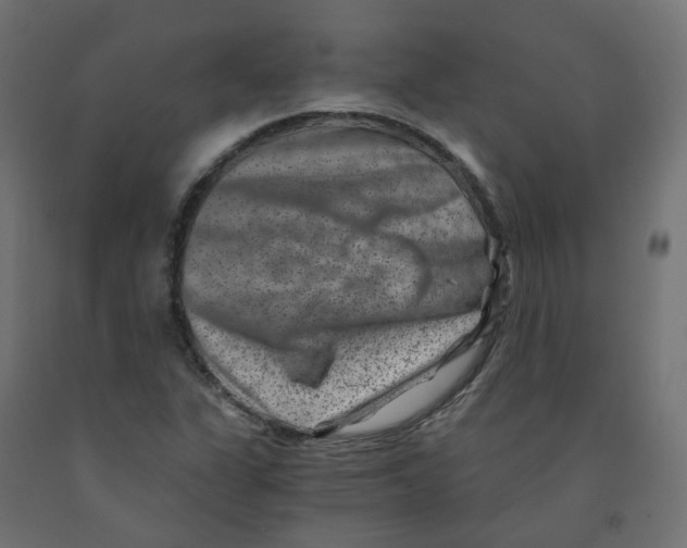 X0000091881311200710031734