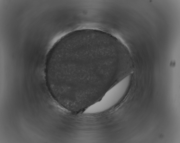 X0000091881312200710031734