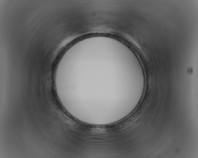 X0000091881315200710031734