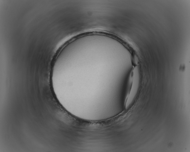 X0000091881316200710031734