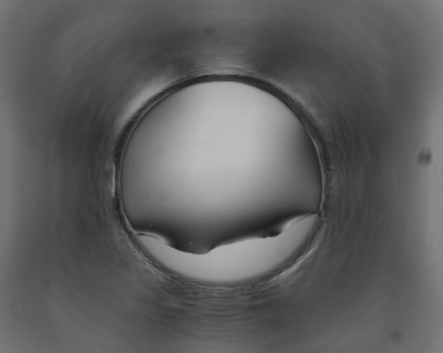 X0000091881317200710031734