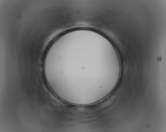 X0000091881318200710031734