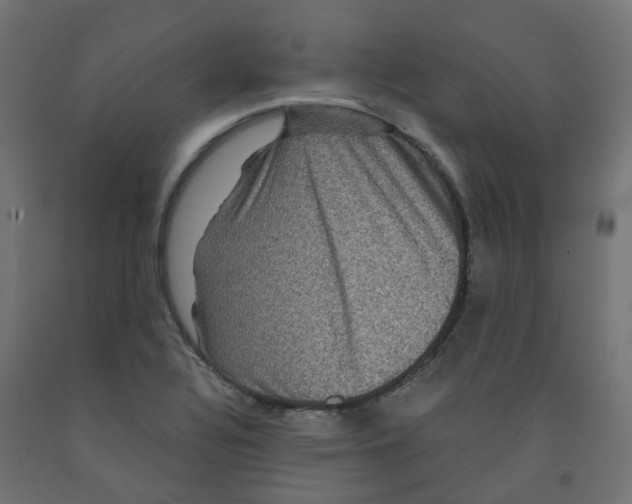 X0000091881320200710031734