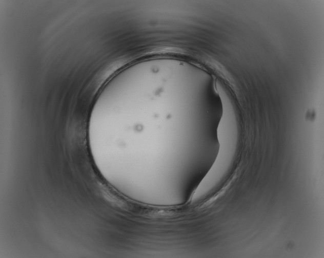 X0000091881321200710031734