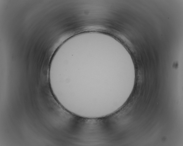 X0000091881322200710031734