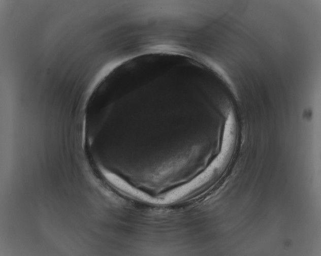 X0000091881323200710031734