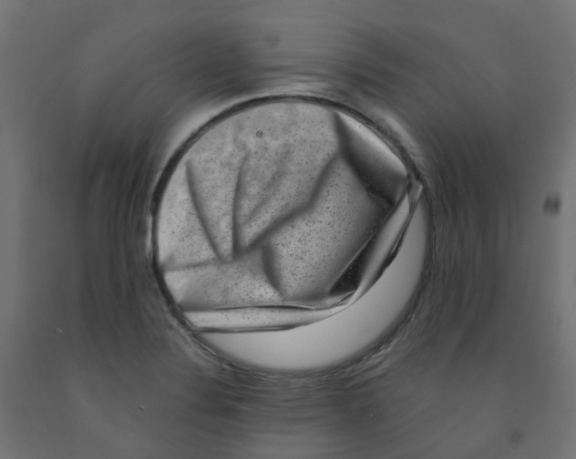 X0000091881324200710031734