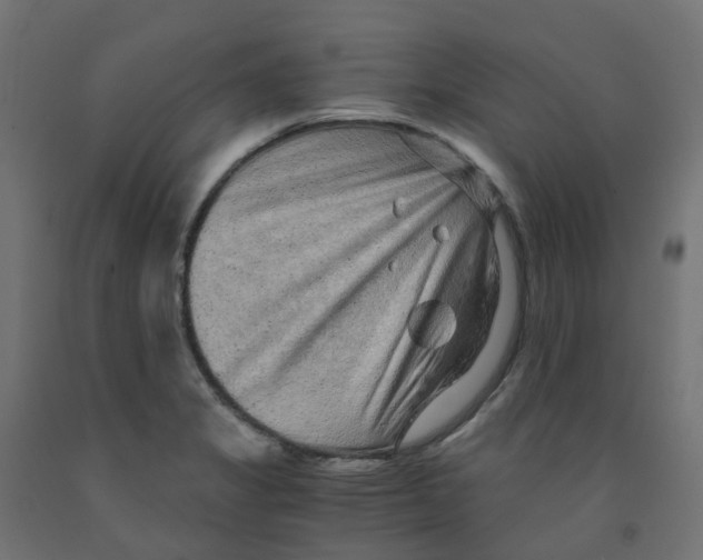 X0000091881325200710031734