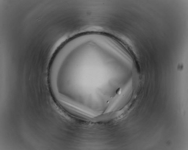 X0000091881326200710031734