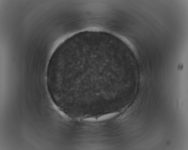 X0000091881327200710031734