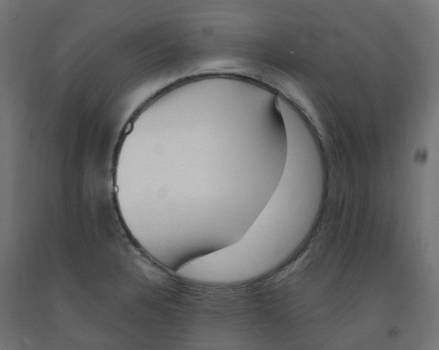 X0000091881328200710031734