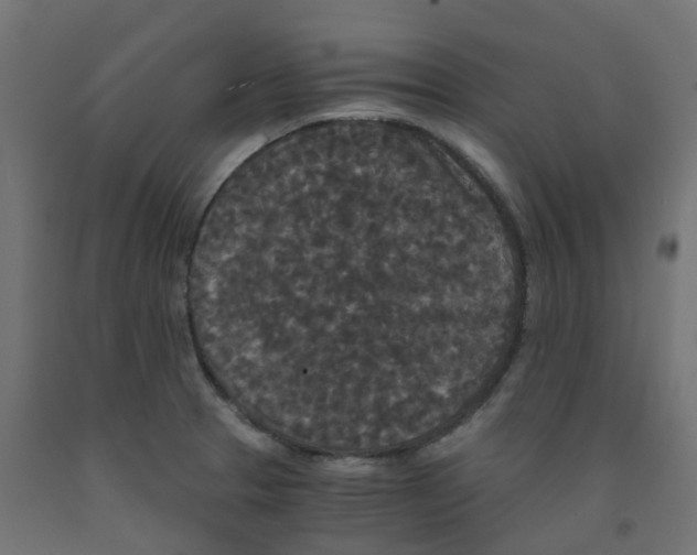 X0000091881329200710031734