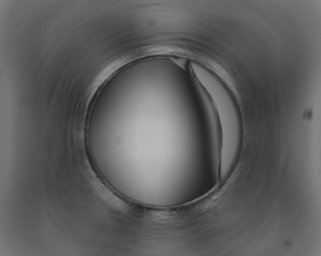 X0000091881330200710031734