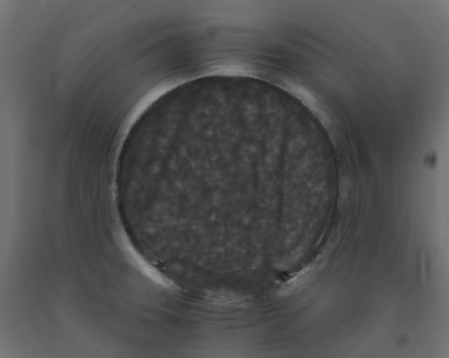 X0000091881331200710031734