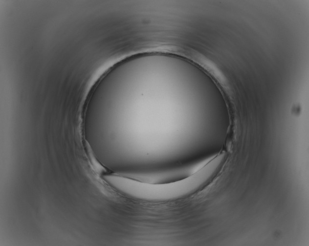 X0000091881332200710031734