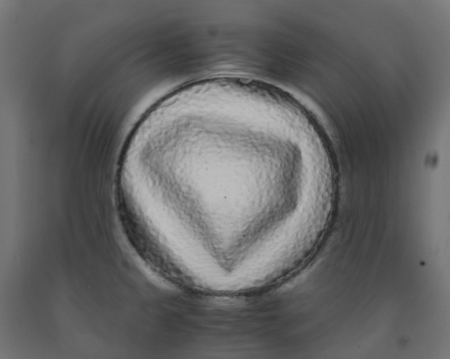 X0000091881333200710031734