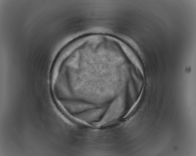 X0000091881335200710031734