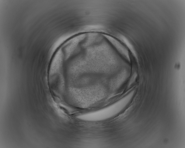 X0000091881336200710031734