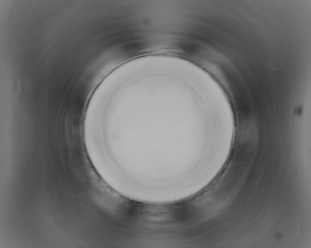 X0000091881338200710031734