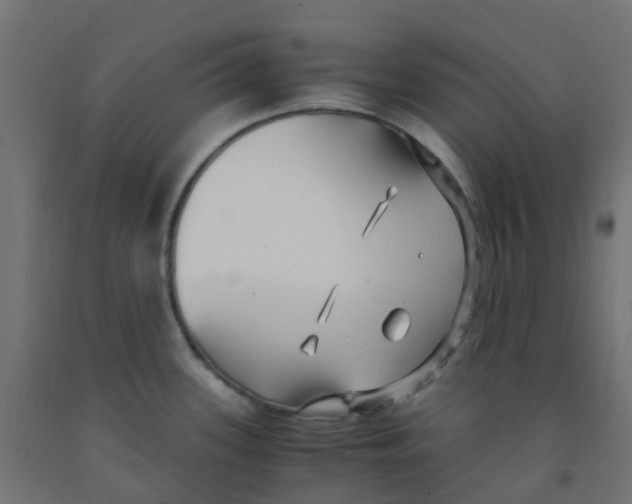 X0000091881339200710031734