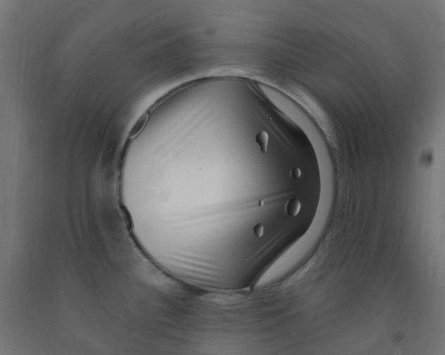 X0000091881340200710031734