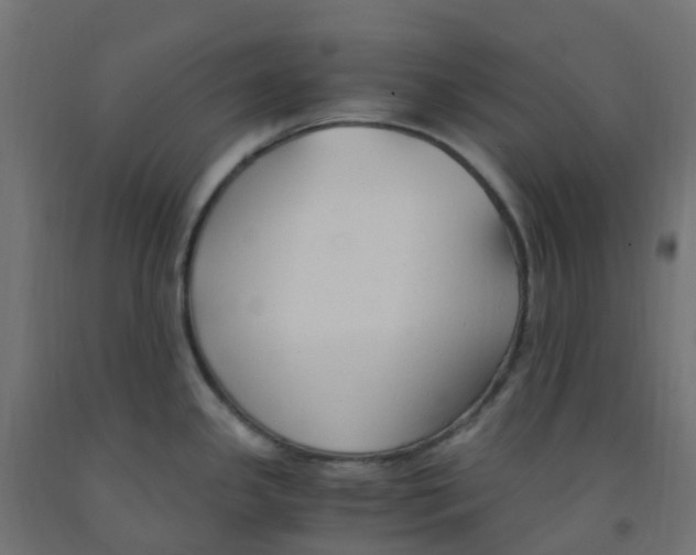 X0000091881341200710031734