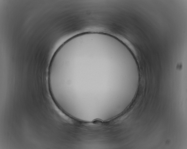 X0000091881343200710031734