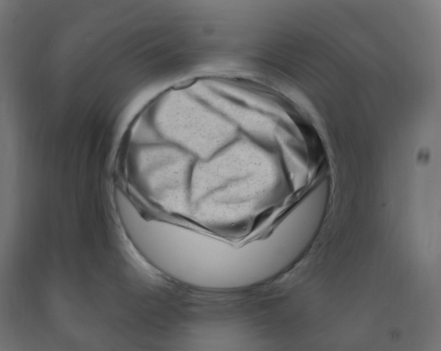 X0000091881344200710031734