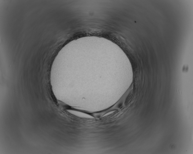 X0000091881345200710031733