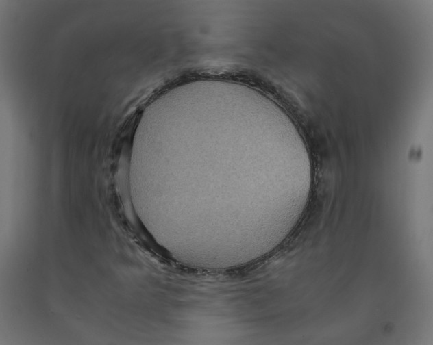 X0000091881349200710031733