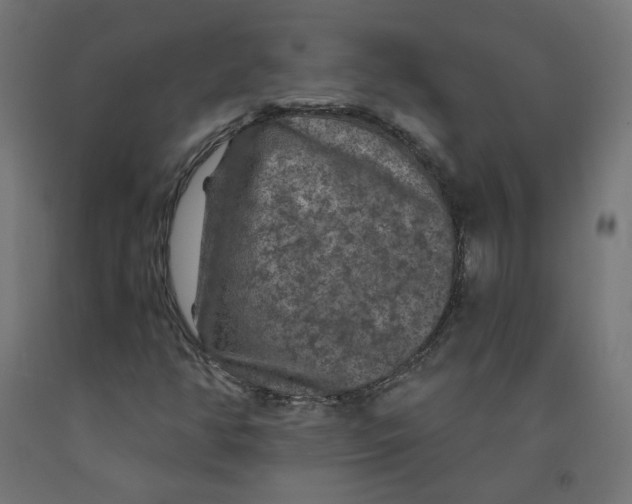 X0000091881350200710031733