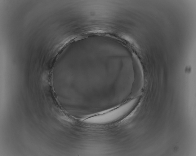 X0000091881353200710031733