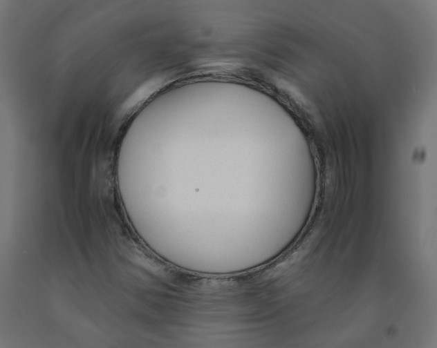 X0000091881354200710031733